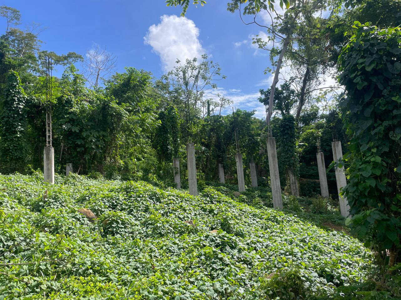 Corinth Land For Sale in Grenada